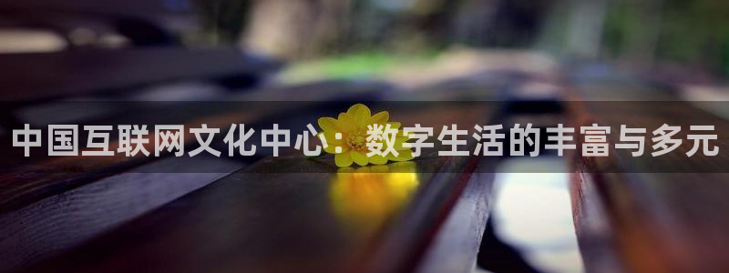 赢咖登录