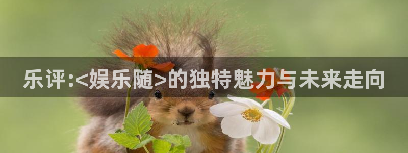 赢咖系列平台官网入口