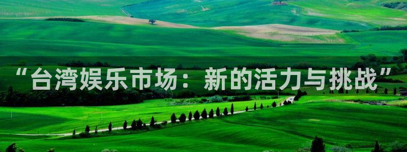 赢咖总代