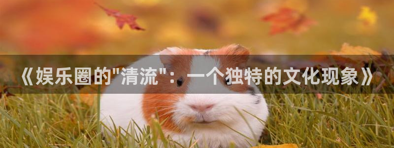 赢咖2首页