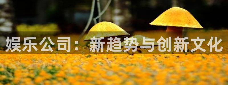 赢咖3