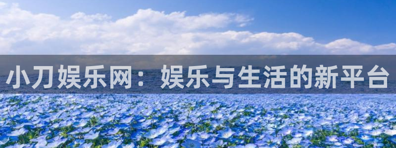 赢咖