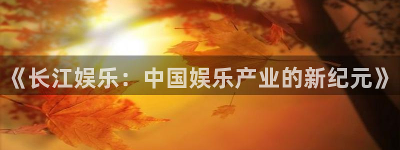 赢咖5盛煌平台官网