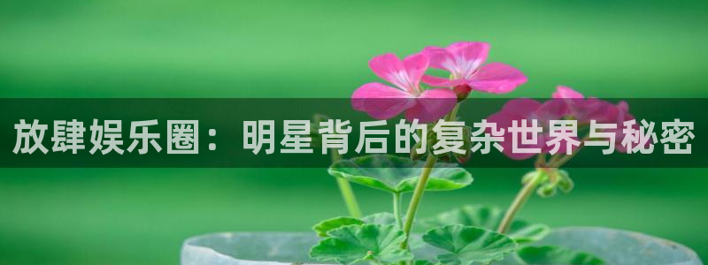 赢咖2