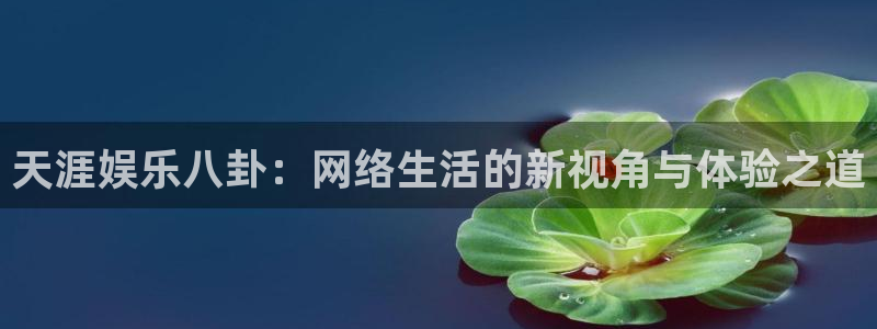 赢咖总代