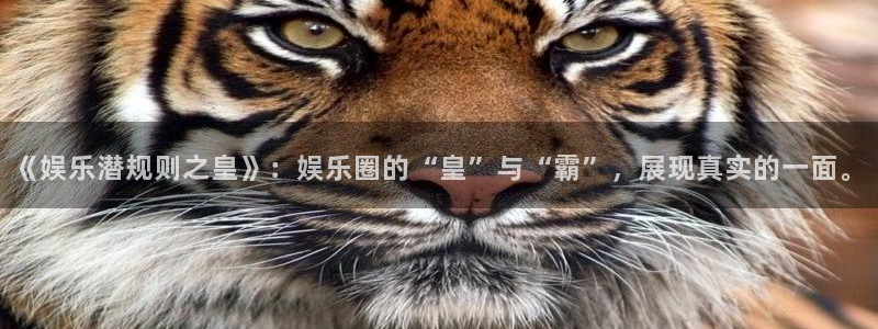 赢咖3