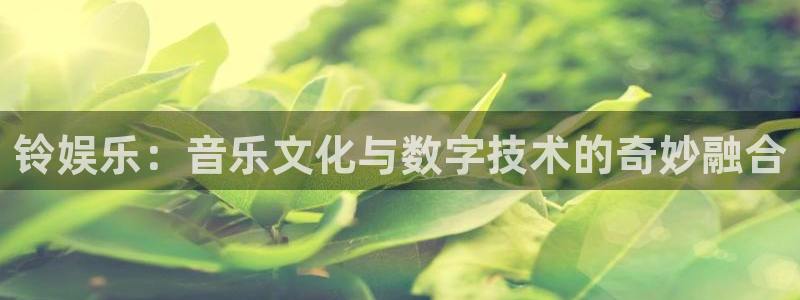 赢咖2平台